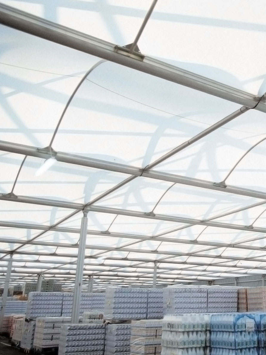 Control de Producción y Registro