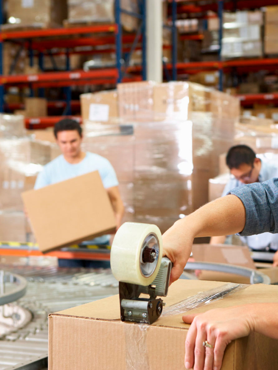 Suministro de Personal de Temporada